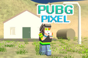 Pubg Pixel 2